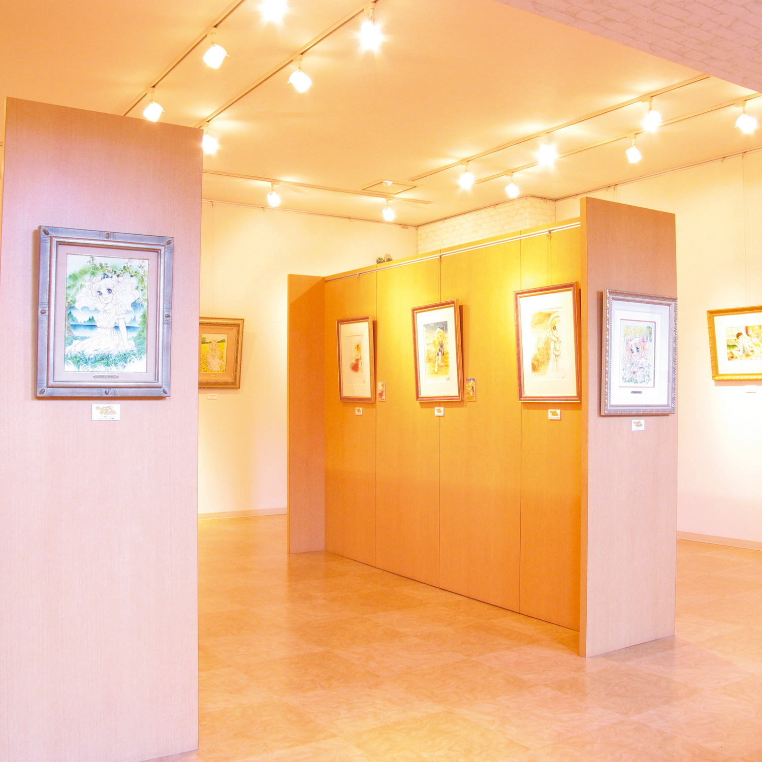 ギャラリーを見る